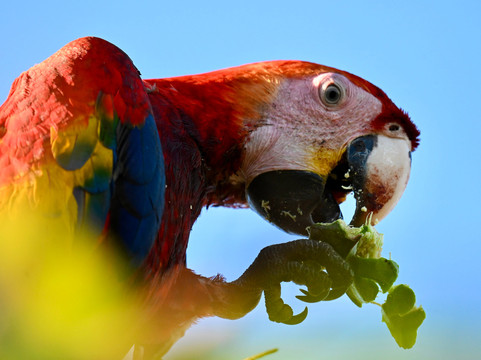 Crocodile Man Tour-哈科必去景点