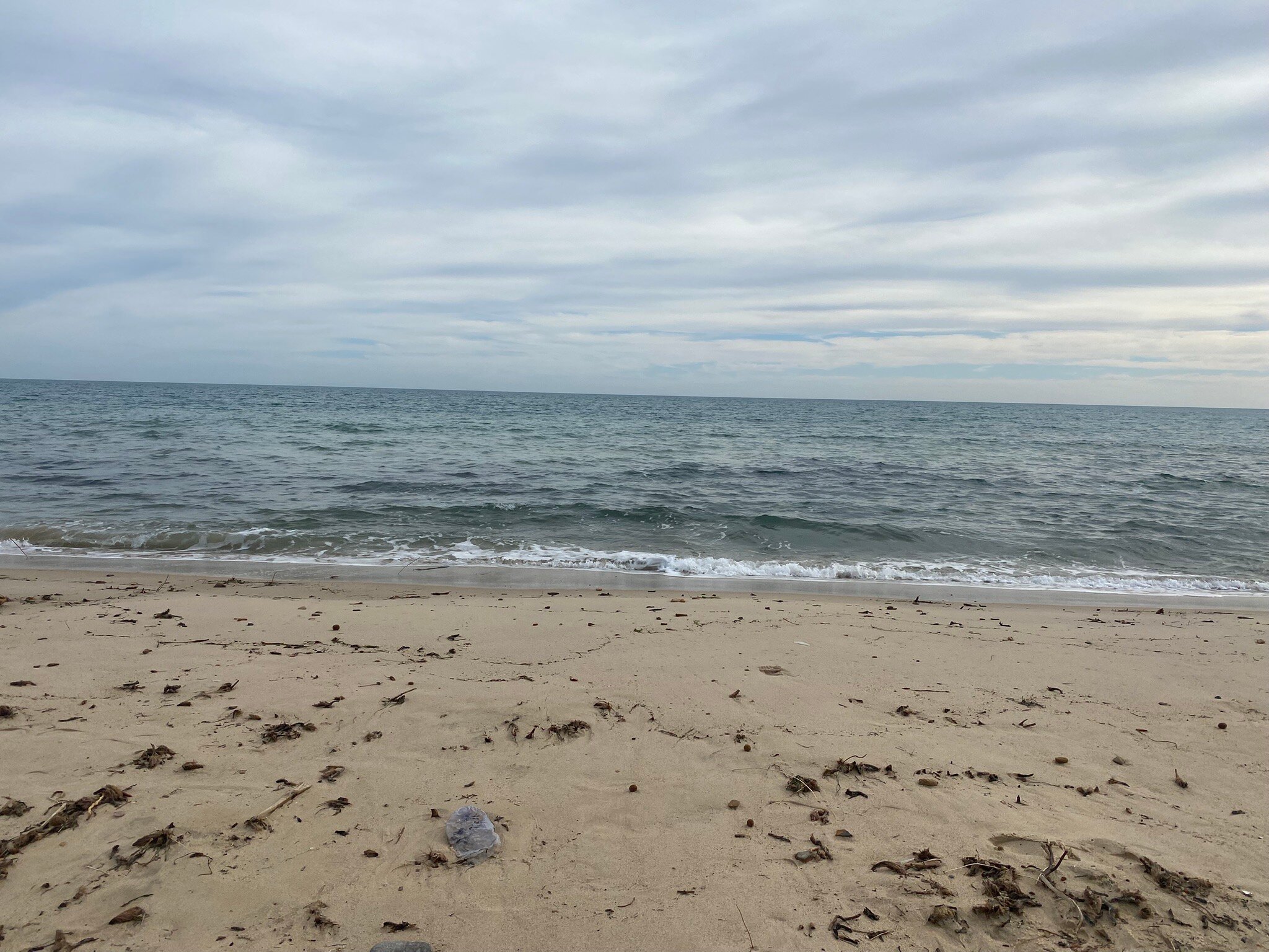 TUI蓝色马纳酒店-官方