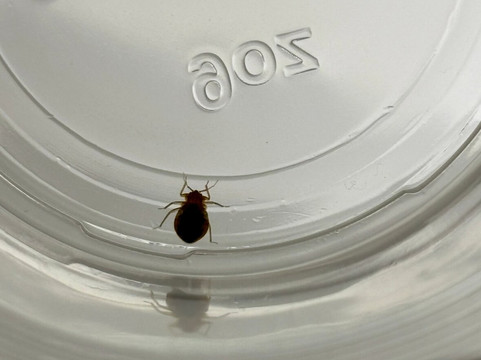 智选假日套房酒店阿比林主图