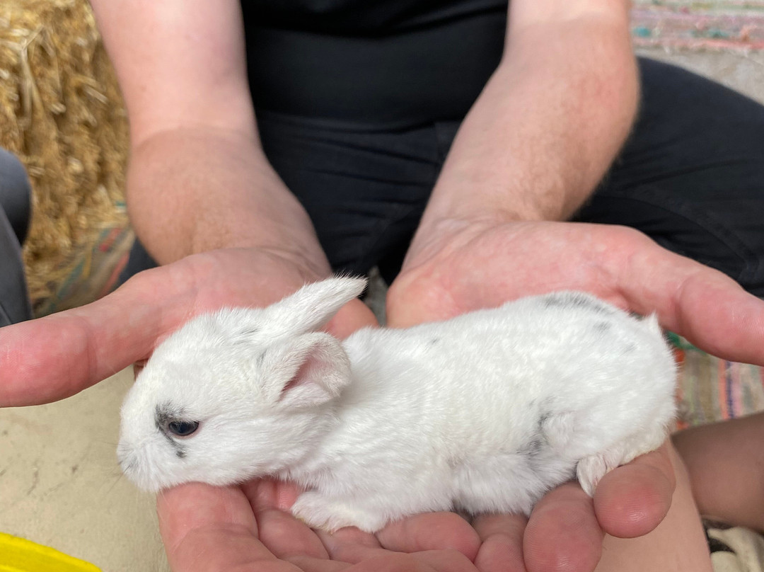 The Funny Farm-Kilchoan必去景点