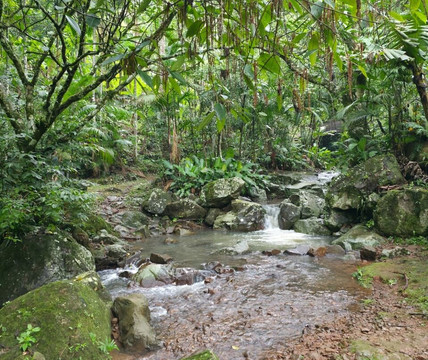 Cachoeira Magia Das Águas