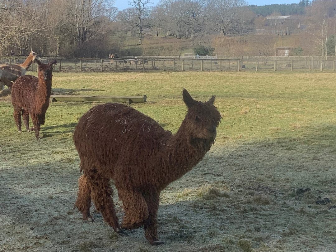 The Lake District Wildlife Park-Bassenthwaite必去景点