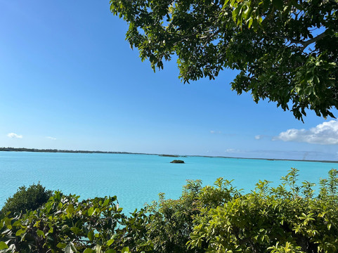 Chalk Sound-普罗维登西亚莱斯必去景点