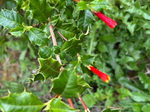 enPatagonia Tours-Puerto Chacabuco必去景点