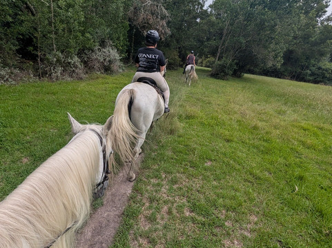 Perdepoort Horse Tails-荒野必去景点