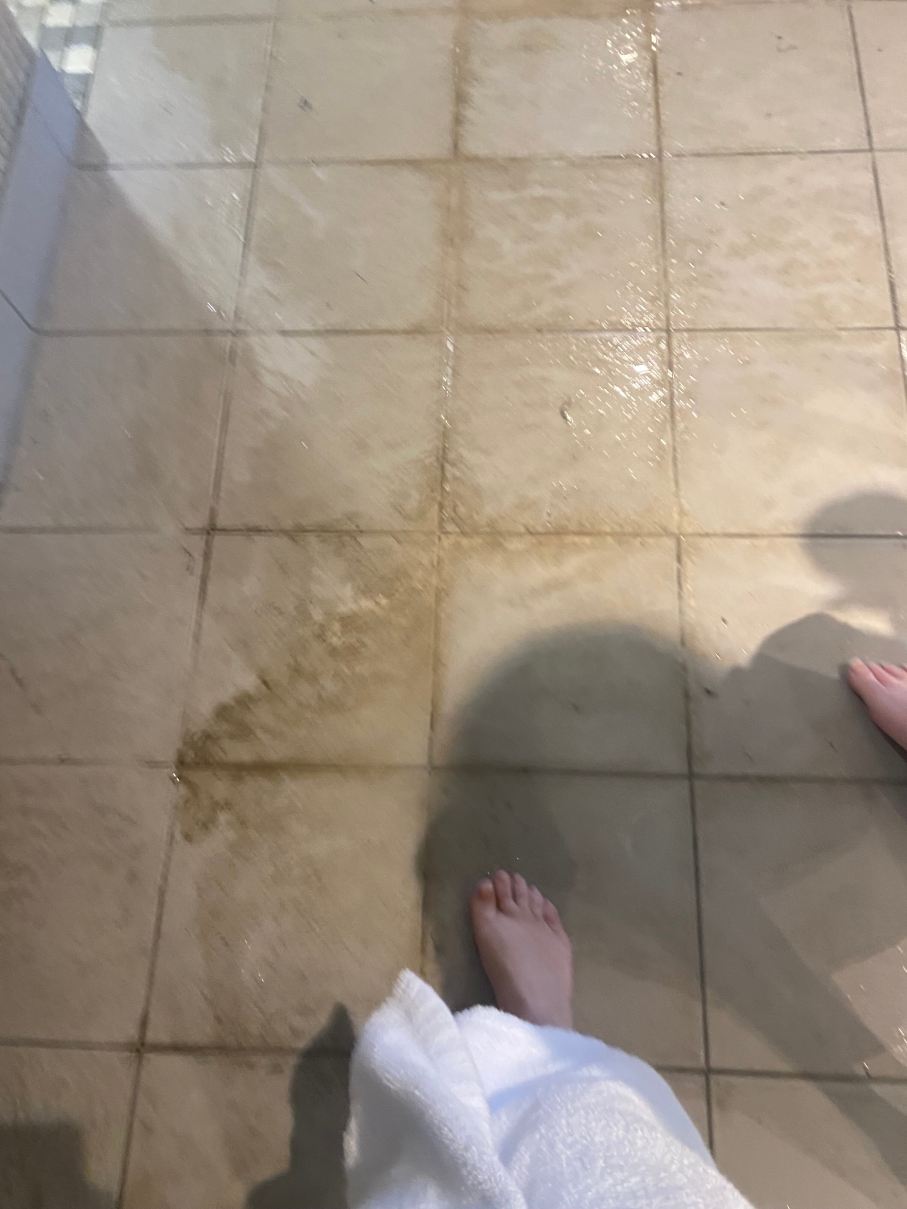 奥尔布赖顿丽笙水疗酒店-官方