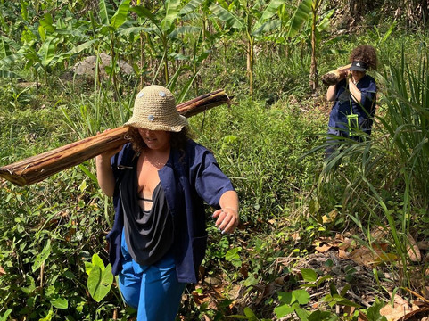 Doi Lom Elephant Rescue Sanctuary-夜登必去景点
