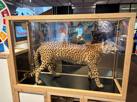 Museon-Omniversum-海牙必去景点