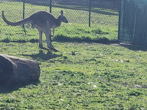 Corsica Zoo-Olmeta di Tuda必去景点