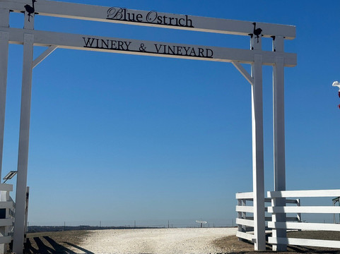 Blue Ostrich Winery & Vineyard-Saint Jo必去景点