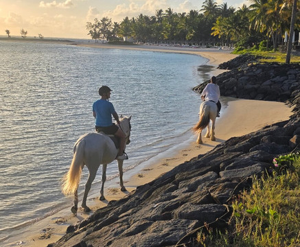 Legasea Stables Mauritius-Quatre Cocos必去景点