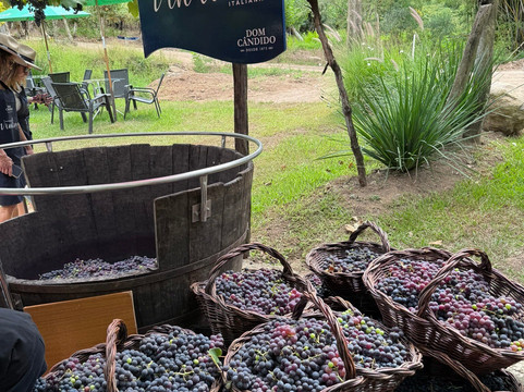 Vinicola Dom Cândido-本图贡萨尔维斯必去景点