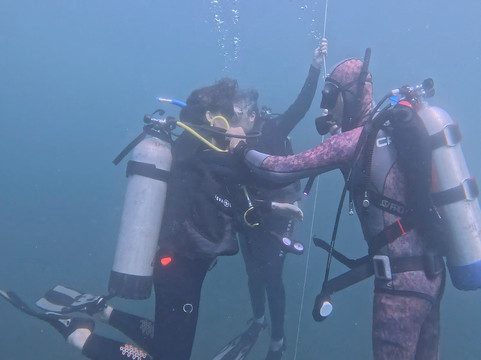 Gaia Divers - Underwater Experiences-Mazunte必去景点