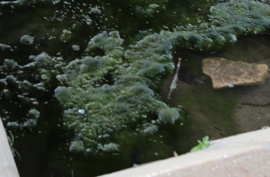 La source et le lavoir de Perrey-Crissey必去景点