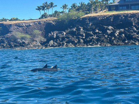 Liquid Hawaii-普阿克必去景点