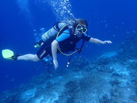 Trunkdivers-库拉索必去景点