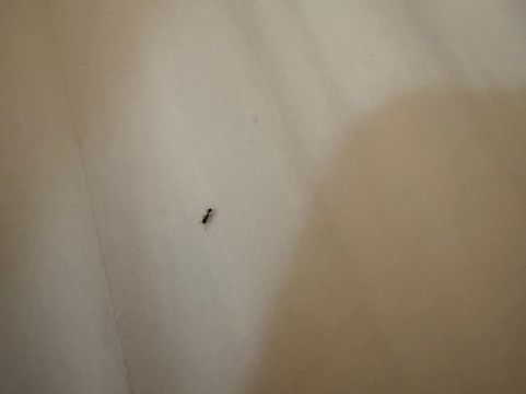 La Rocca Boutique Hotel主图