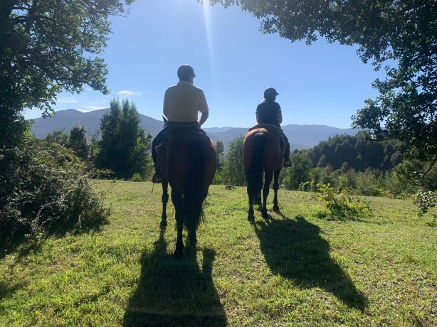 超越乌伊拉威阿酒店-官方