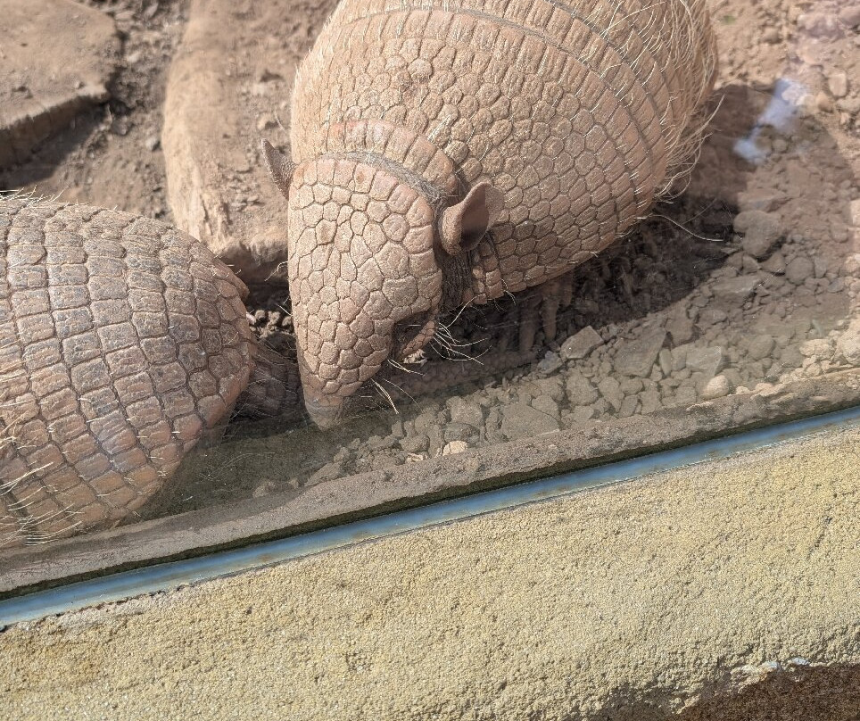 Selwo Marina-班纳玛德纳必去景点