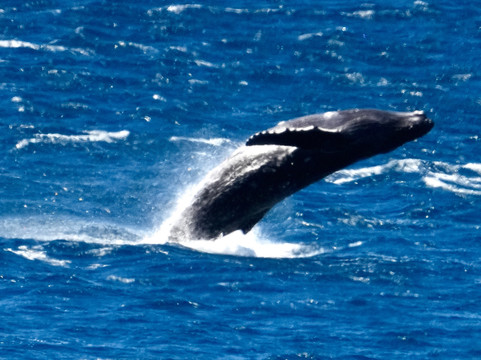 Papawai Scenic Lookout-拉海纳必去景点