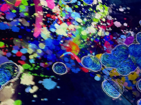 teamLab Planets TOKYO-Toyosu必去景点
