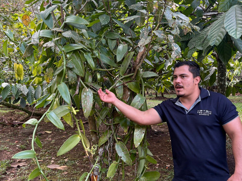 Two Little Monkeys Chocolate Tour-福德圣卡洛斯必去景点