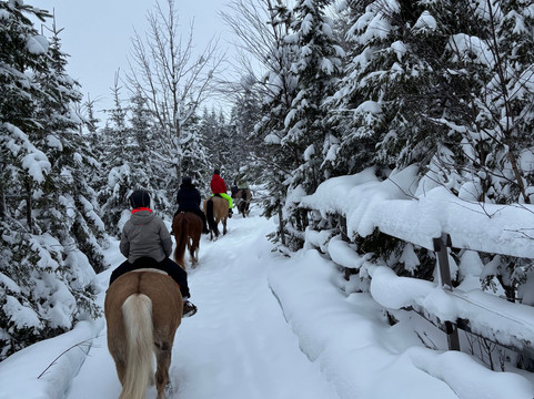 Ruska Laukka-库萨莫必去景点