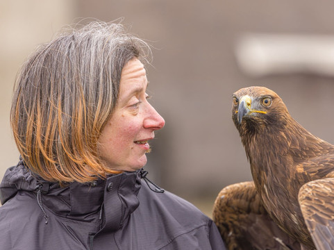 Walks With Hawks-切尔滕纳姆必去景点