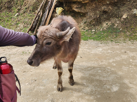 3 Sisters Adventure Trekking-博卡拉必去景点
