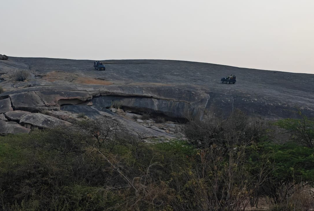 The Fateh Pratap Hotel And Resort