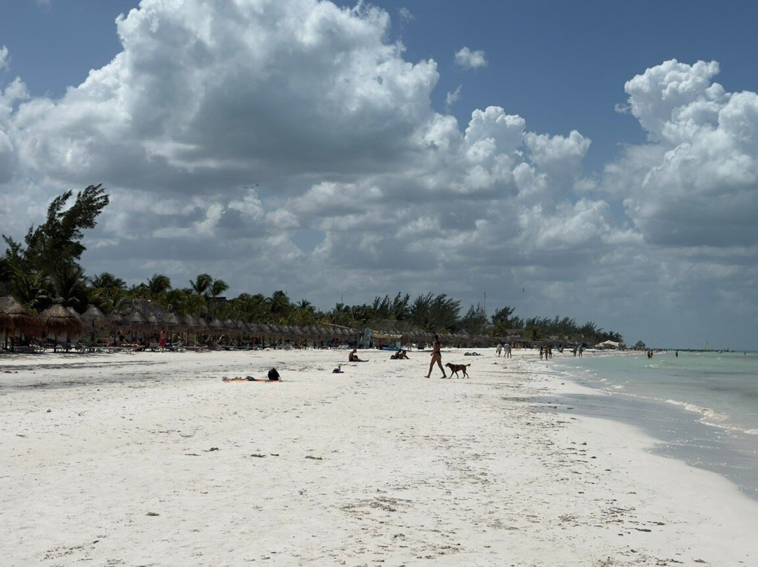 Paseo Tours-普拉亚德尔卡曼必去景点