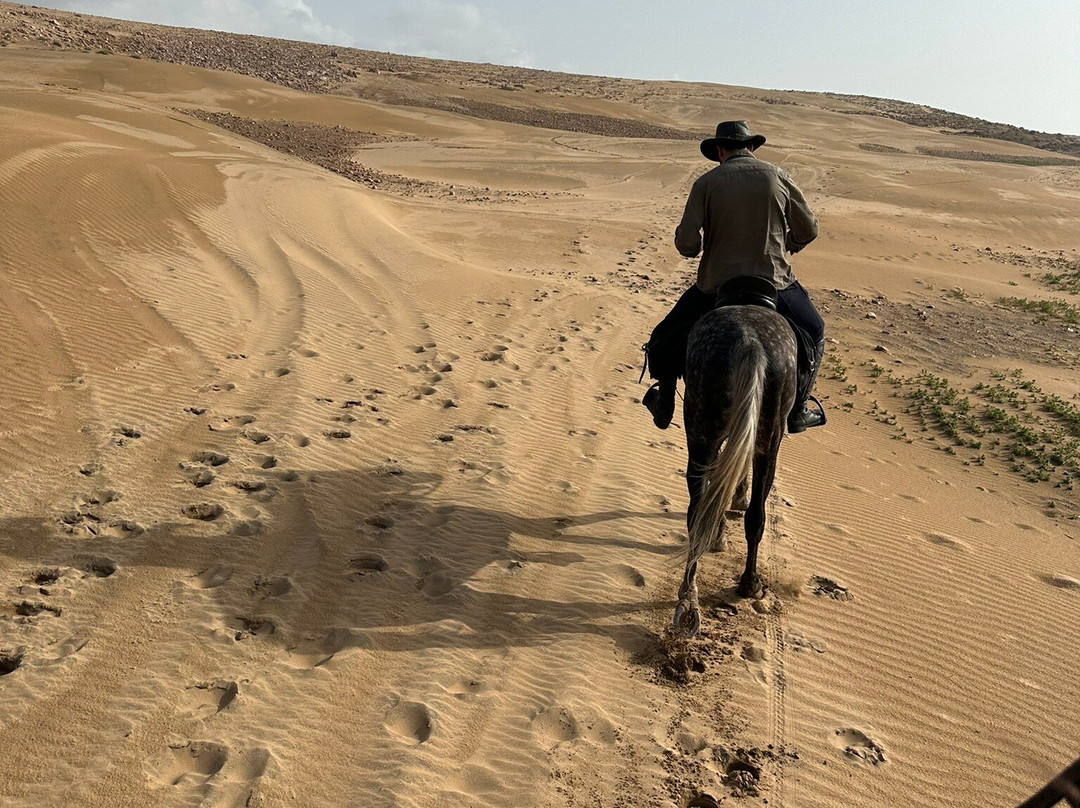 Ocean Ranch Essaouira-索维拉必去景点