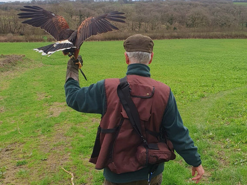 North Devon Hawk Walks-South Molton必去景点