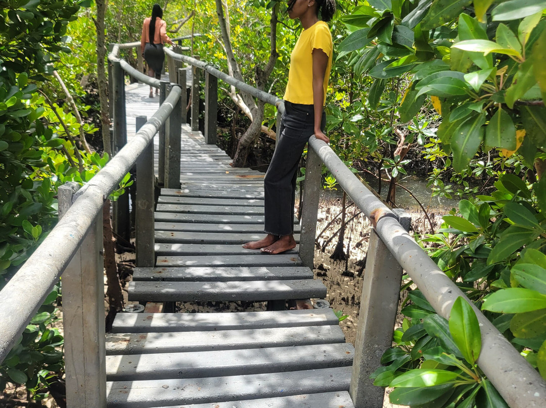 Gazi Mangrove Boardwalk-乌库达必去景点