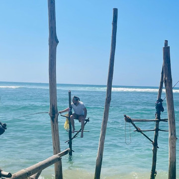 Coconut Tree Hill-美蕊沙必去景点