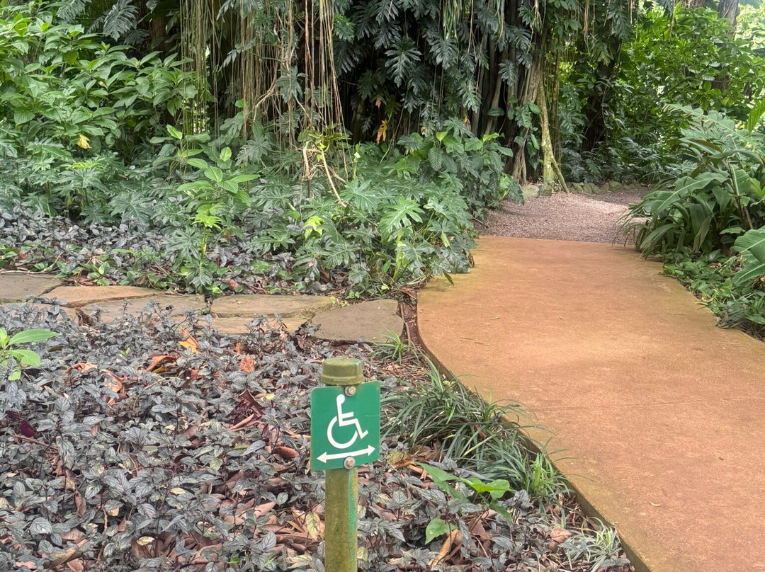 瓦西瓦植物园-瓦西瓦必去景点