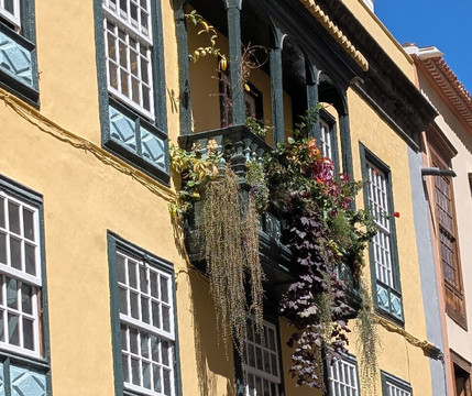 Calle O'Daly-巴尔玛圣库鲁斯必去景点