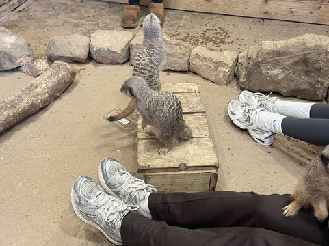 Wigfield Farm-巴恩斯利必去景点