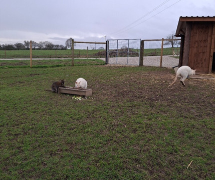 Monk Park Farm-Bagby必去景点