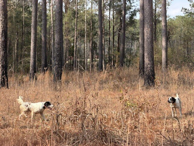 Beaver Creek Plantation