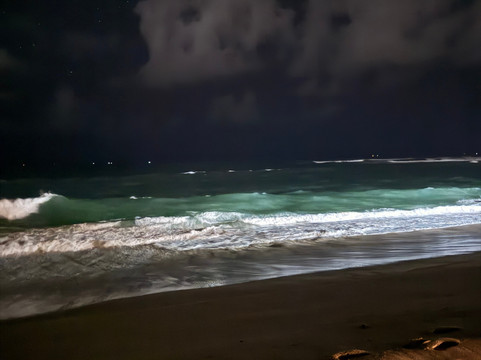 Nature Paradise Travels-科伦坡必去景点