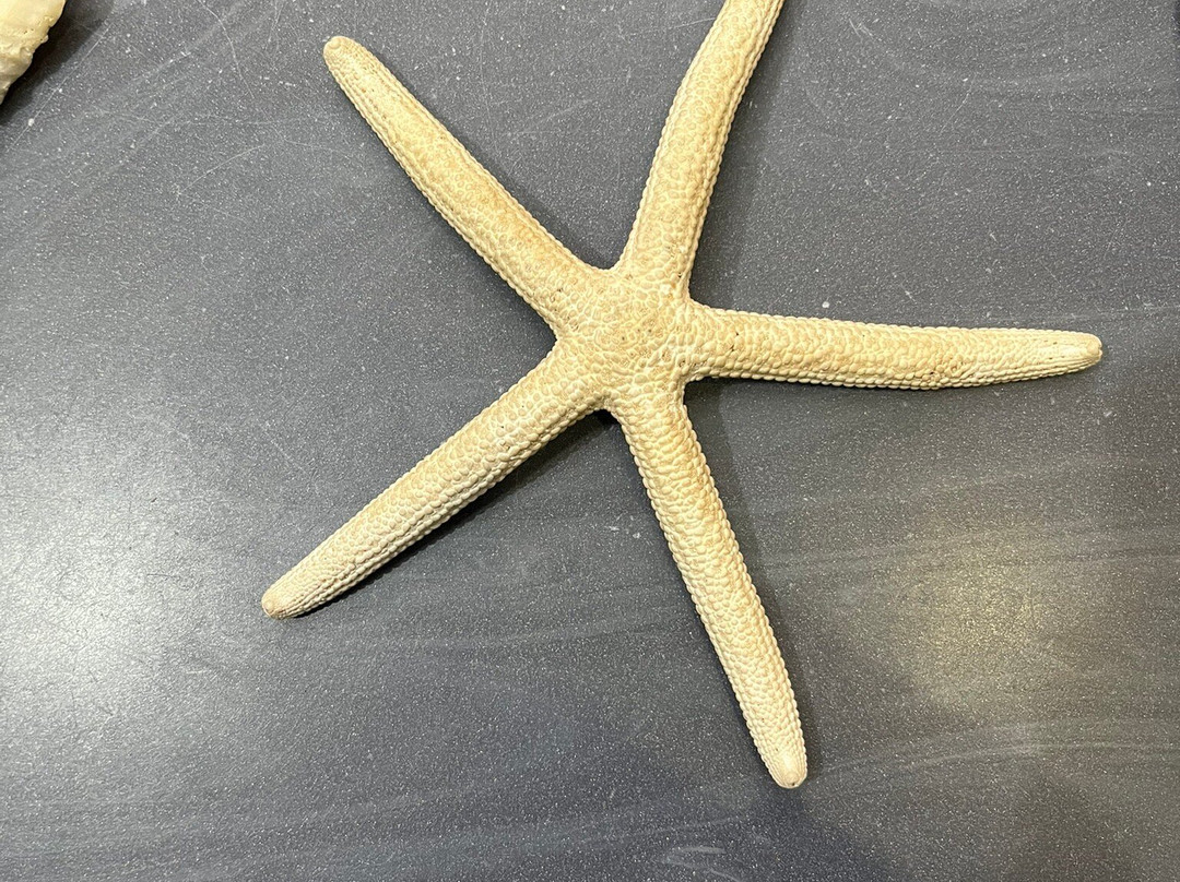 Alabama Aquarium at the Dauphin Island Sea Lab-Dauphin Island必去景点