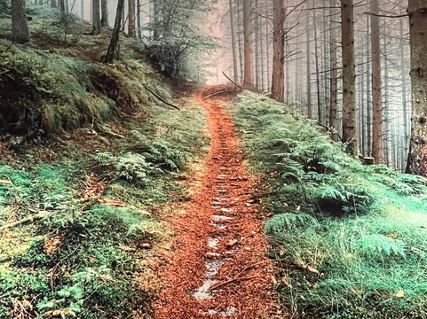 Museum Silkeborg-锡尔克堡必去景点