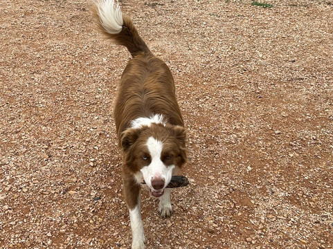 Byrne Farm-Nashdale必去景点