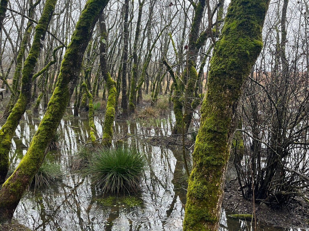 龙圈帐篷营地主图