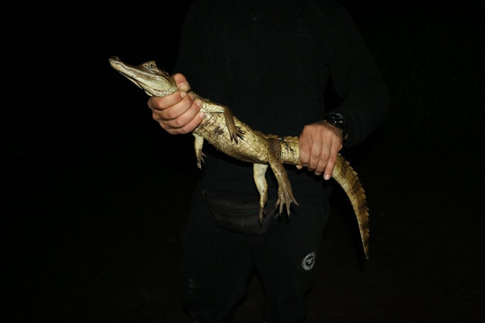 Amazon Discovery-伊基托斯必去景点