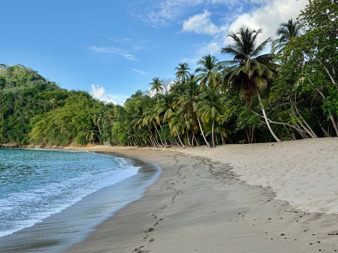 Englishman's Bay-多巴哥必去景点