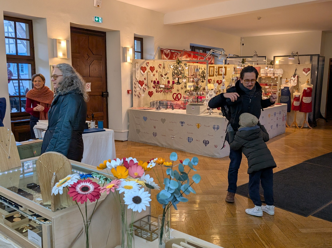 Koifhus (Old Custom House)-科尔马必去景点