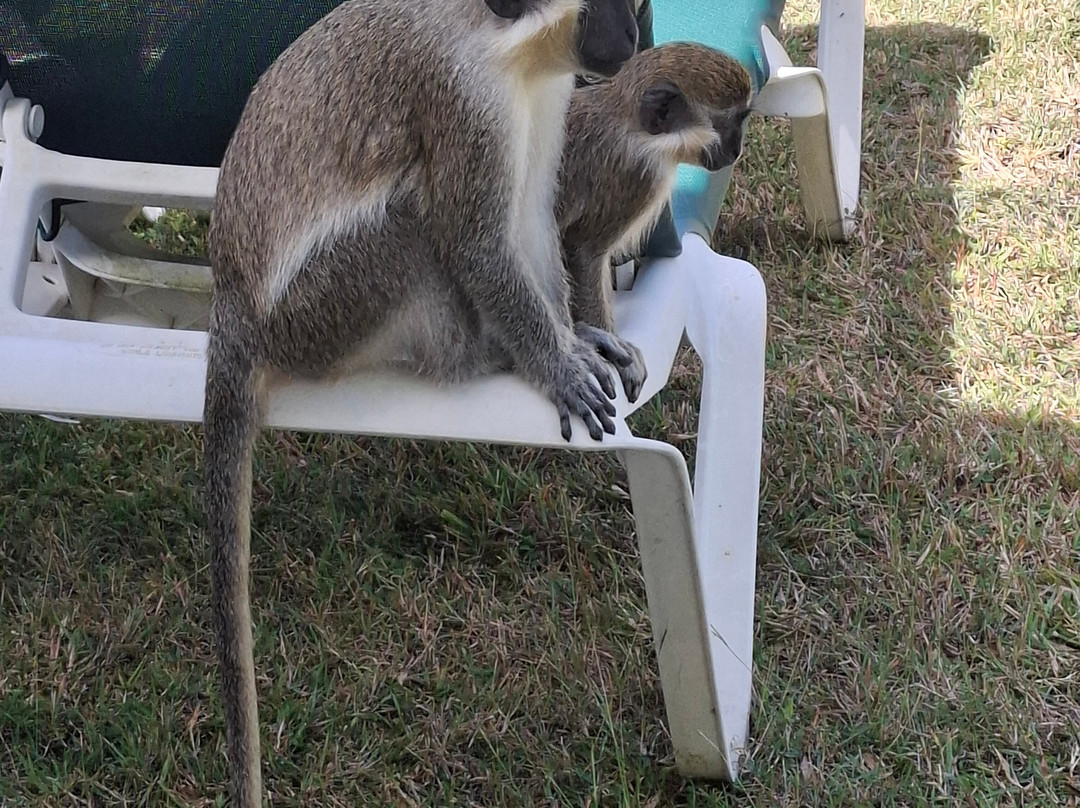 全季度假村主图