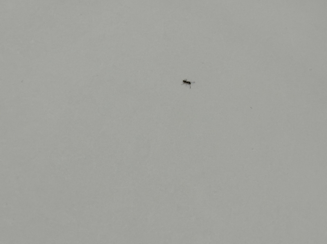 布兰奇堡/布里奇沃特凯悦嘉寓酒店主图